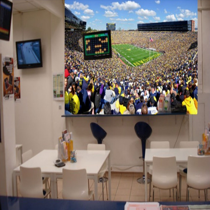 Ταπετσαρία με ποδόσφαιρο Michigan Stadium